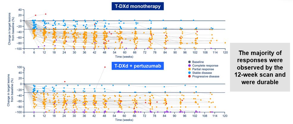 <p>Percentage change in target lesion size from baseline<span class="tooltip"><span class="tooltip-text"><sup>1</sup></span><span class="tooltip-content" style="display: none;"><span>1. André F, Hamilton EP, Loi S, et al. DESTINY-Breast07: dose-expansion and analysis of T-DXd monotherapy and T-DXd + pertuzumab in patients with previously untreated HER2+ mBC. Abstract 1009. Presented at American Society of Clinical Oncology (ASCO) Congress; May 31-June 4, 2024; Chicago, Illinois</span></span></span></p>
