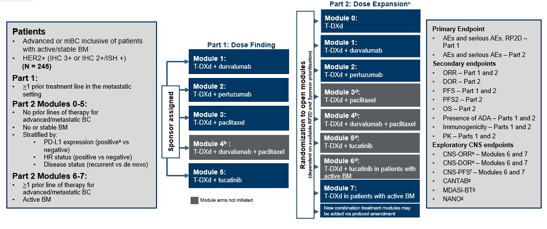 <p>Study Design and Endpoints<span class="tooltip"><span class="tooltip-text"><sup>1-4</sup></span><span class="tooltip-content" style="display: none;"><span>1. André F, Hamilton E, Loi S, et al. Trastuzumab deruxtecan (T-DXd) combinations in patients with HER2-positive advanced or metastatic breast cancer: a phase 1b/2, open-label, multicenter, dose-finding and dose-expansion study (DESTINY-Breast07). Presented at American Society of Clinical Oncology (ASCO) Virtual Meeting; June 4-8, 2021; Chicago, Illinois. Poster TPS1096.</span><span>2. AstraZeneca. A phase 1b/2 study of T-DXd combinations in HER2-positive metastatic breast cancer (DB-07) . ClinicalTrials.gov website. <a target="_blank" href="https://www.clinicaltrials.gov/ct2/show/NCT04538742">https://www.clinicaltrials.gov/ct2/show/NCT04538742</a></span><span>3. Hamilton EP, Jhaveri KL, Loi S, et al. Dose-expansion study of trastuzumab deruxtecan as monotherapy or combined with pertuzumab in patients with metastatic human epidermal growth factor receptor-2 positive (HER2+) breast cancer in DESTINY-Breast07 (DB-07) [poster]. Poster presented at: San Antonio Breast Cancer Symposium (SABCS) 2022 Annual Meeting; December 6-10,2022; San Antonio, Texas. Poster PD18-11.</span><span>4. Anders CP, Loi S, Hamilton E, et al. Safety, tolerability, and antitumor activity of T-DXd in patients with HER2-positive mBC and active brain metastases in DESTINY-Breast07. Poster 185P. Presented at European Society for Medical Oncology-Breast Cancer (ESMO-BC) Annual Meeting; May 15-17, 2024; Berlin, Germany.</span></span></span></p>